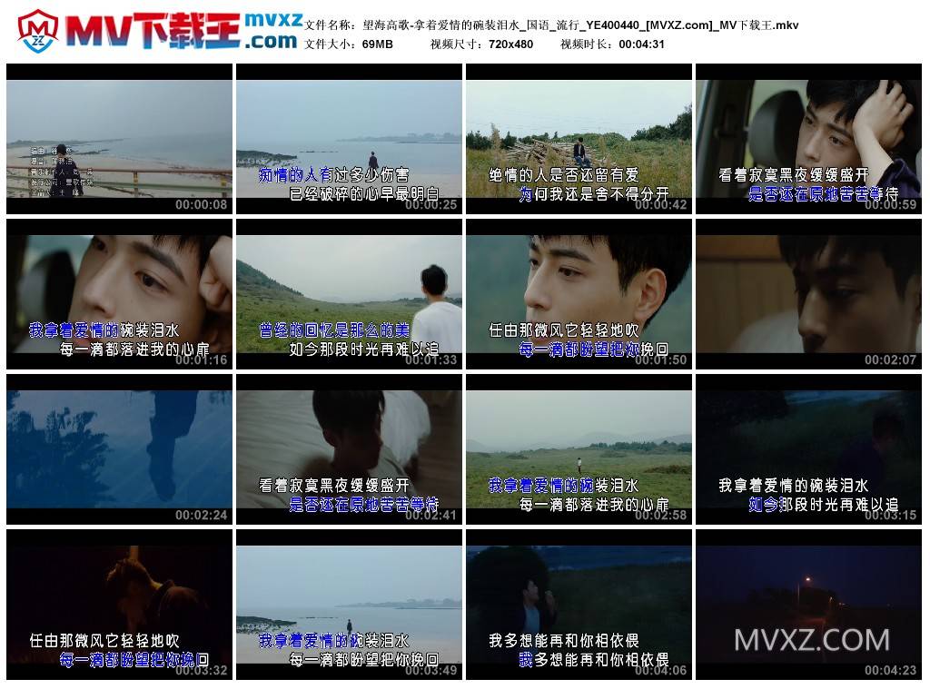 望海高歌-拿着爱情的碗装泪水_国语_流行_YE400440